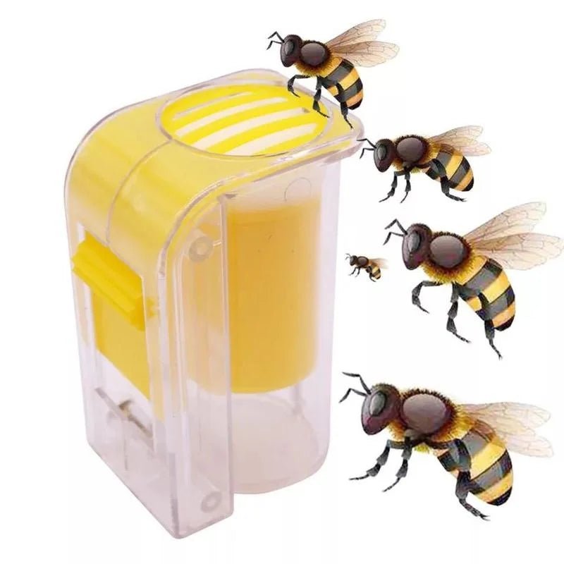 One - handed Queen Bee Catcher Kit, Plastic Queen Bee Marking Tool with… - Vastura Ag