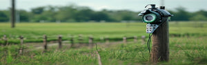 Fence Energizers