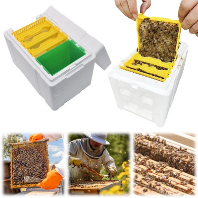 1 Set Queen Bee Mating Box Queen Bee Rearing Box Beekeeping Tools - Vastura Ag