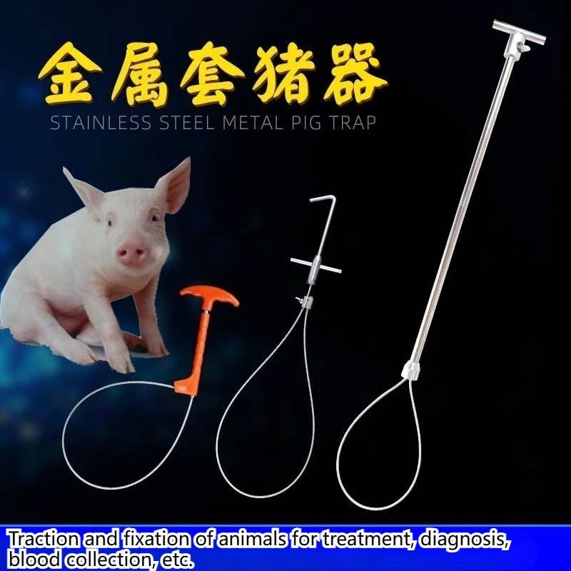 AgriHold pig restraint rope set with Baoding sleeve on farm - Vastura Ag