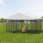 Large Dog Kennel Outdoor Pet Pens Dogs Run Enclosure Animal Hutch… - Vastura Ag