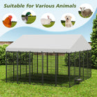 Large Dog Kennel Outdoor Pet Pens Dogs Run Enclosure Animal Hutch… - Vastura Ag