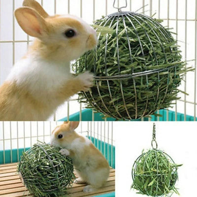 Stainless Steel Hanging Hay Ball for Rabbits & Guinea Pigs - Vastura Ag