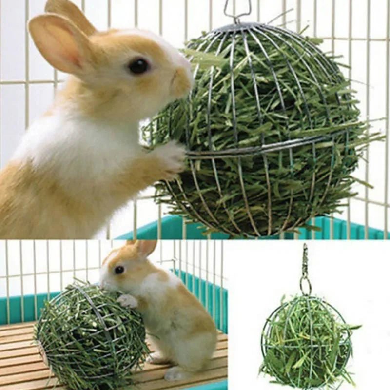 Stainless Steel Hanging Hay Ball for Rabbits & Guinea Pigs - Vastura Ag