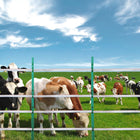 VEVOR 1640Ft 500M Electric Fence Tape Fencing Polytape Horse Cattle… - Vastura Ag